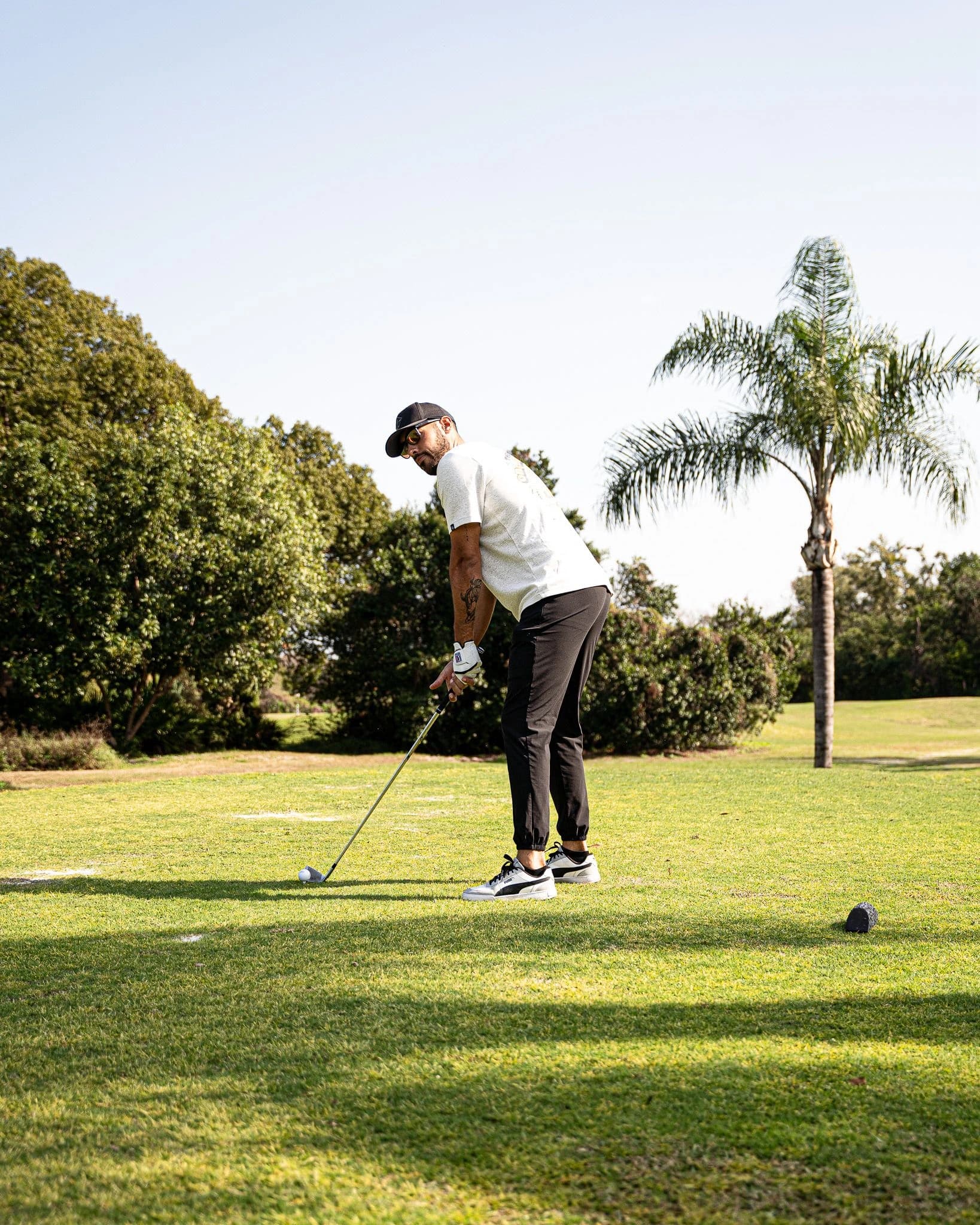 Facu swing image